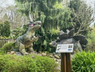 Park Fantazium. Zdroj: Svět Fantazie