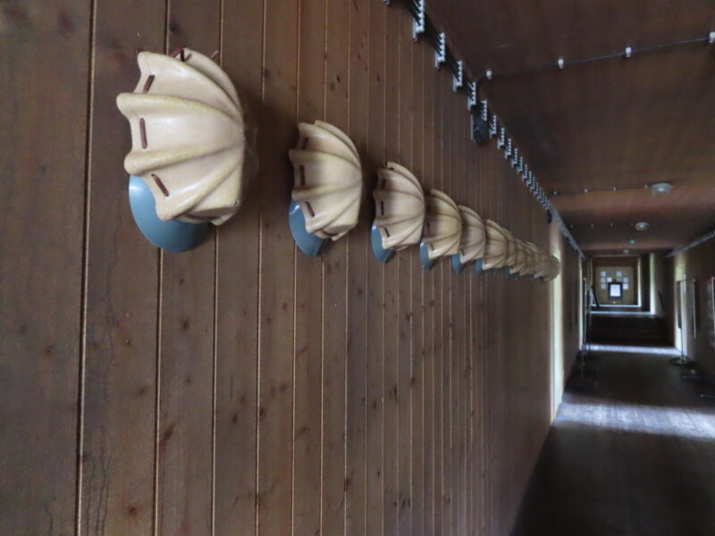 Zdroj foto a autor: Pavla Košík Jelínková