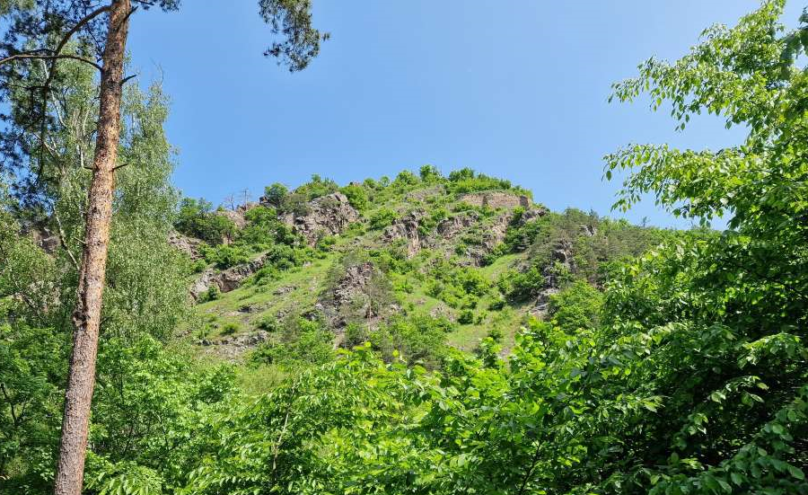 Zřícenina hradu Levnov na skalnatém kopci nad řekou Oslavou. Foto: Anna Petruželková