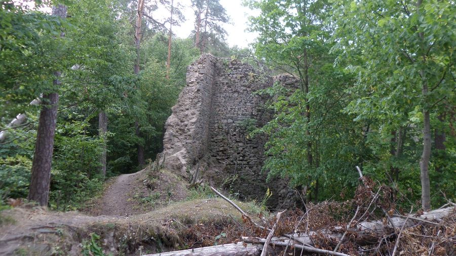 Pozůstatky hradu Holoubek nad meandrem vodní nádrže Dalešice ležící na řece Jihlavě. Foto: Anna Petruželková