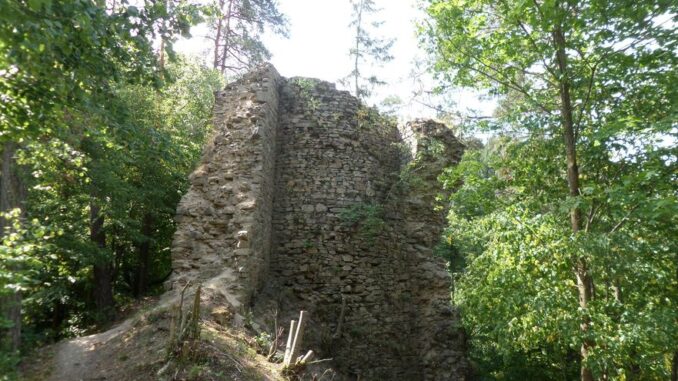 Zřícenina hradu Holoubek nad meandrem vodní nádrže Dalešice ležící na řece Jihlavě. Foto: Anna Petruželková