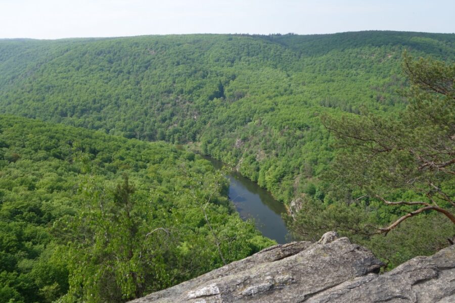 Sealsfieldův kámen