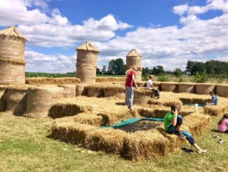 Léto v kukuřici. Zdroj: veverci-dvur.cz