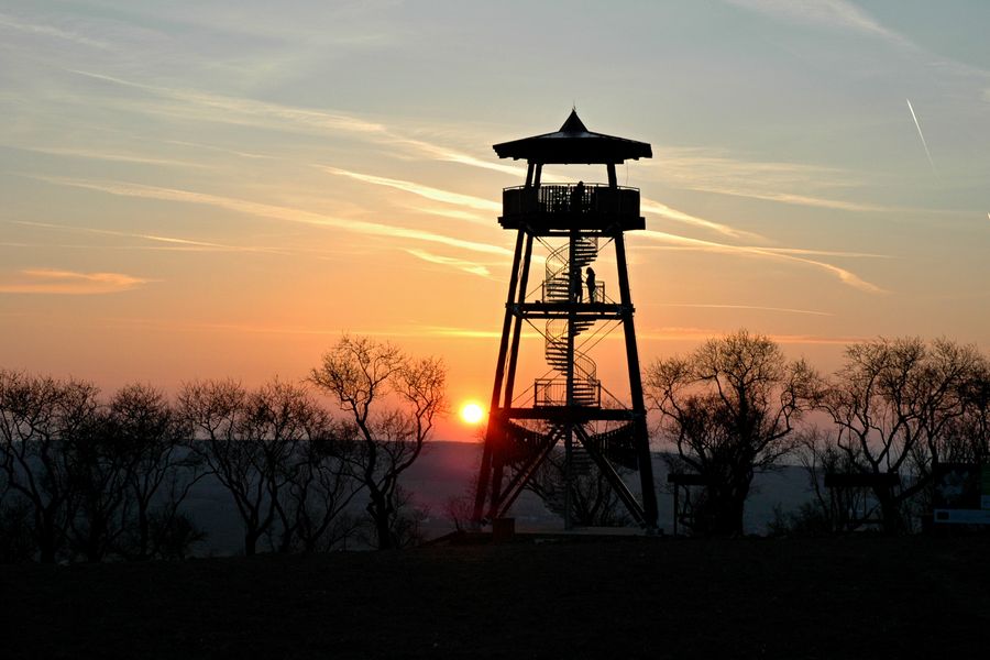 Rozhledna na mandloňové stezce Hustopeče, Jihomoravský kraj. Zdroj: Turistické informační centrum Hustopeče, autor Tomáš Studený