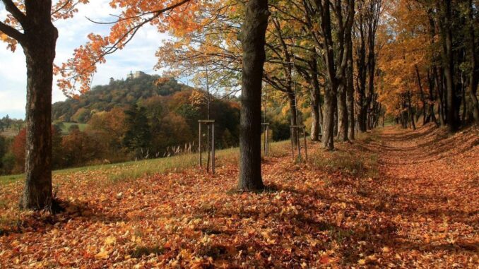 okolí hradu Buchlov a podzimní příroda