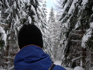 Velký okruh Bystřickem