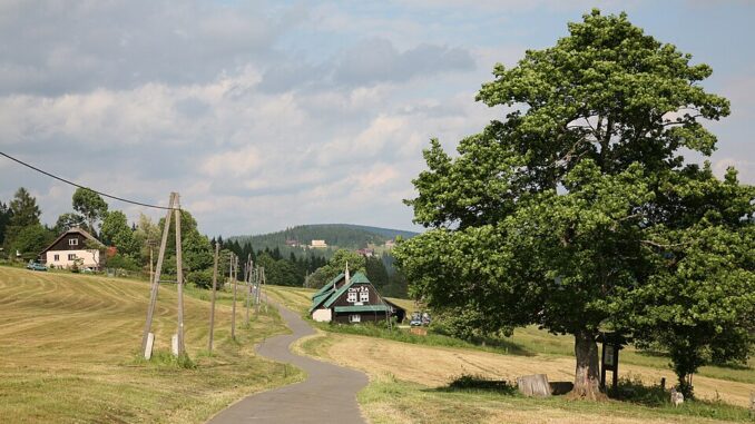 Staré Hamry, osada Gruň. Zdroj foto: Commons.wikimedia.org. Autor: Vašek Vinklát. Licence: CC BY-NC-SA 2.0