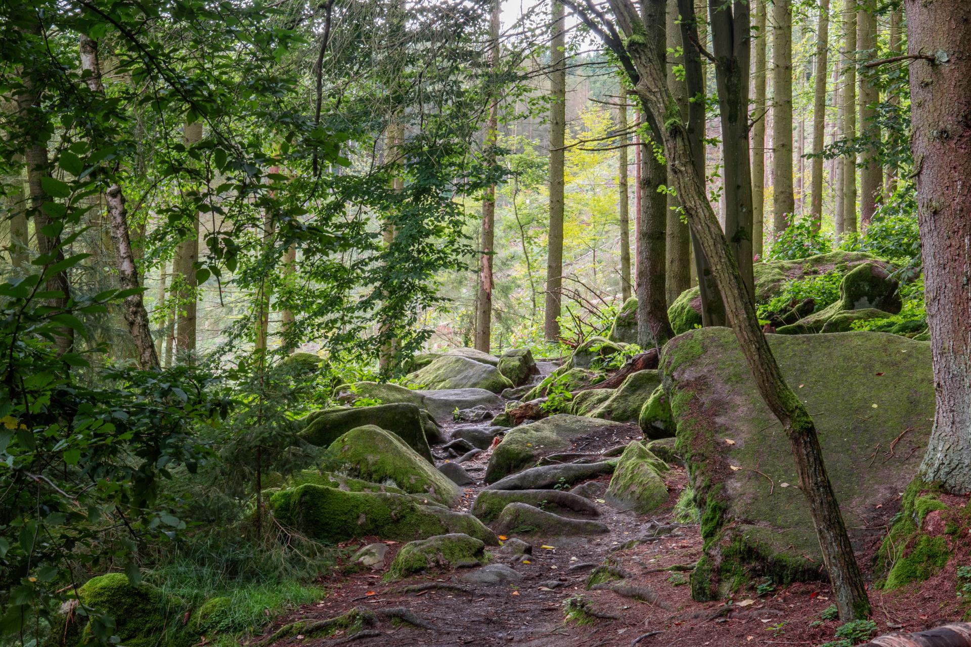Stvořidla na Vysočině