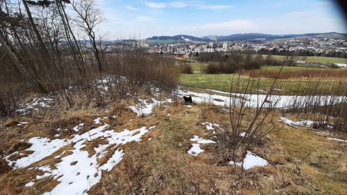 Výhled z kopce Kalvárie na Nové Město na Moravě