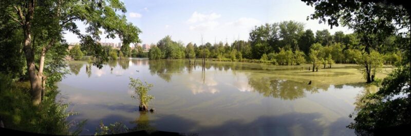 českorajské rybníky - hrad Trosky