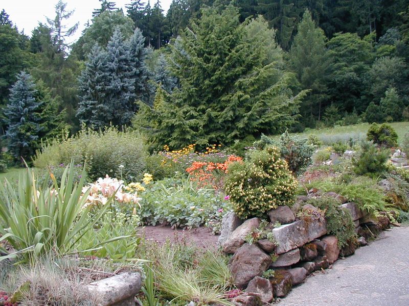 Zahradnictví SAK a arboretum Borotín