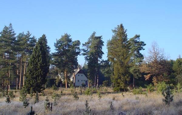 Pohled na arboretum Sofronka od jihovýchodu
