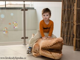 Dítě na dřevěném krokodýlovi