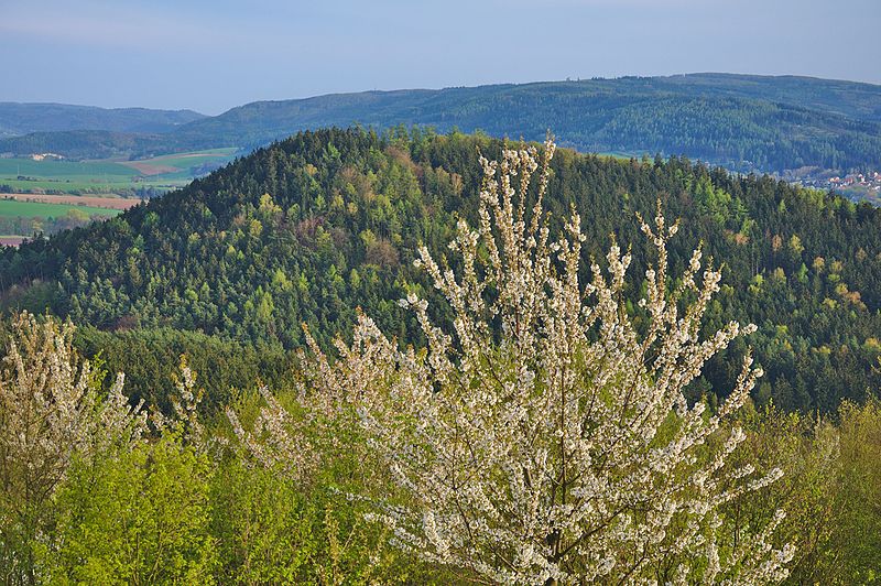 Pohled z Malého Chlumu na Velký Chlum (okres Blansko). Autor: Jiří Komárek, licence CC BY-SA 4.0. Zdroj: Wikimedia Commons