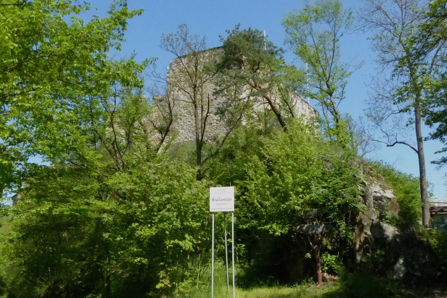 Zřícenina hradu Cornštejn nad Vranovskou přehradou. Foto: Antonín Skryja