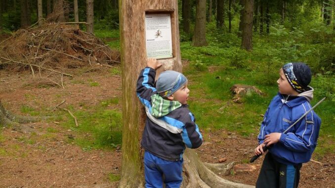 Pohádkový les u Slavonic je plný pohádek a úkolů pro děti. Zdroj foto: Turistické informační centrum Slavonice