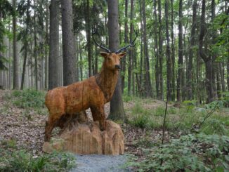 Ždírecká zoo na Plzeňsku je park s krásnými dřevěnými a kovovými sochami zvířat. Zdroj foto: Ždírecká zoo