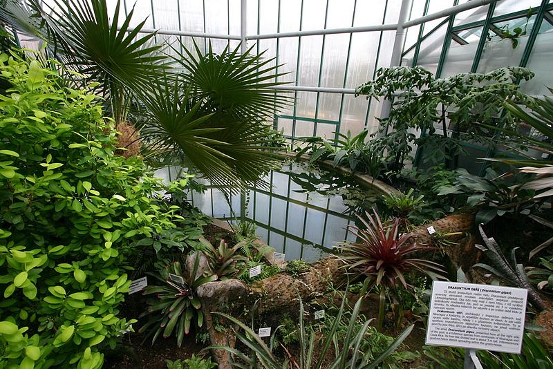 Skleník liberecké botanické zahrady. Zdroj: Pavel.satrapa (CC BY-SA 3.0)
