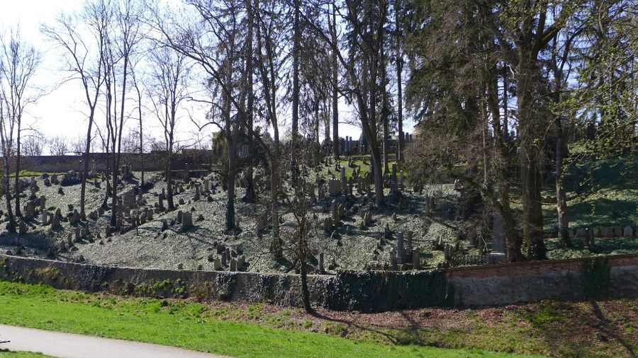 Židovský hřbitov Třebíč. Foto: Eva Koutná