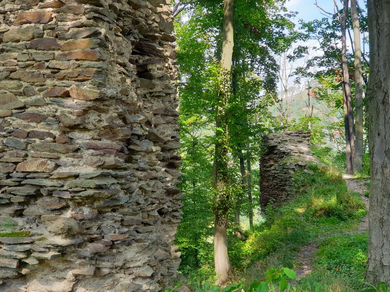 Zřícenina hradu Pyšolec u obce Vír. Foto: autor