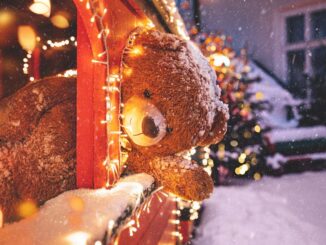 Medvídek ve Vánočním domě na zámečku v Doubí. Zdroj: Vánoční dům, Karlovy Vary