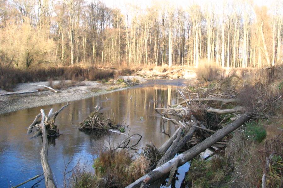 Litovelské Pomoraví. Foto: Alice Suchá