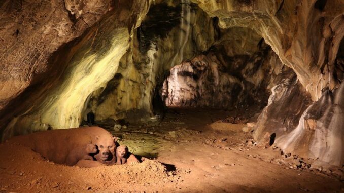 Kateřinská jeskyně, Ledová chodba. Zdroj: Správa jeskyní České republiky