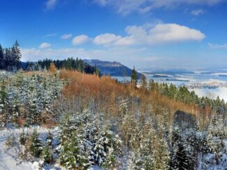 Hřebečovský hřbet. Foto: flickr.com / Roman Pittner