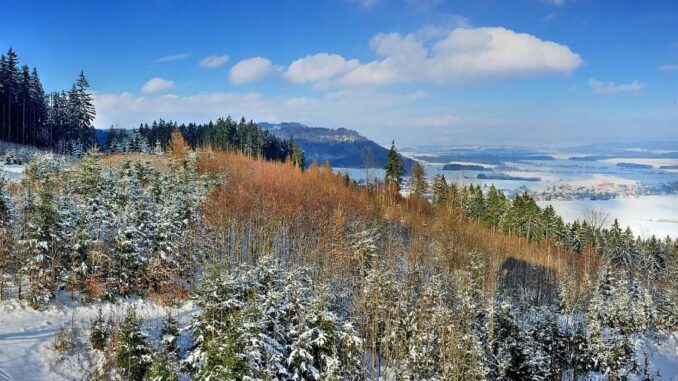 Hřebečovský hřbet. Foto: flickr.com / Roman Pittner