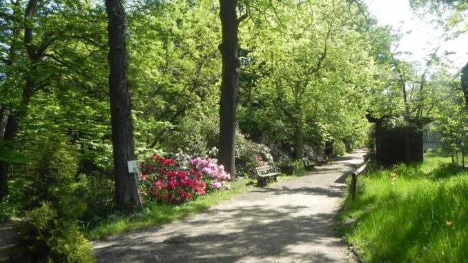 Cesta botanickou zahradou. Zdroj: Botanická zahrada při VOŠ a SZeŠ v Táboře