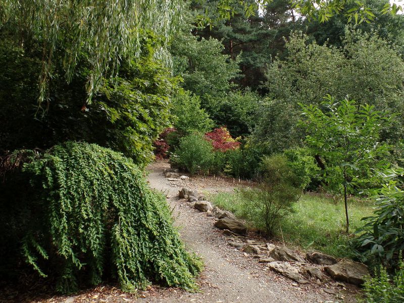 Vyjděte si na procházku oázou zeleně. Zdroj: Arboretum Šmelcovna Boskovice