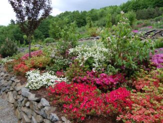 Botanická zahrada Makču Pikču Paseka je plná barev. Zdroj: Arboretum Paseka Makču Pikču