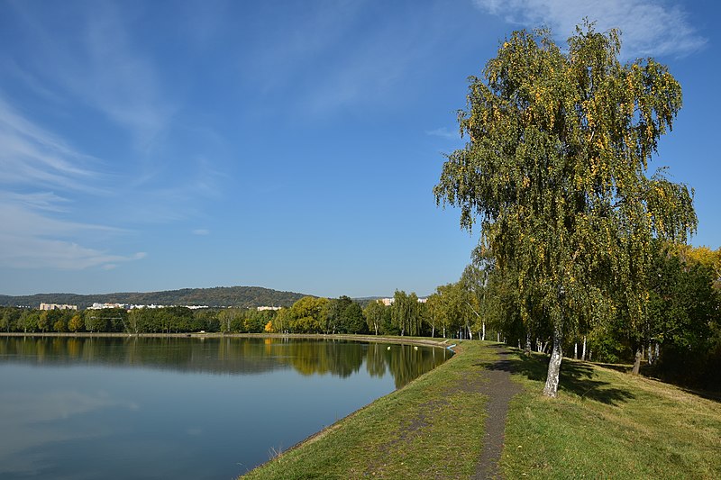 Velký otvický rybník. Autor: Petr Kinšt. Zdroj: Creative Commons BY-SA 3.0