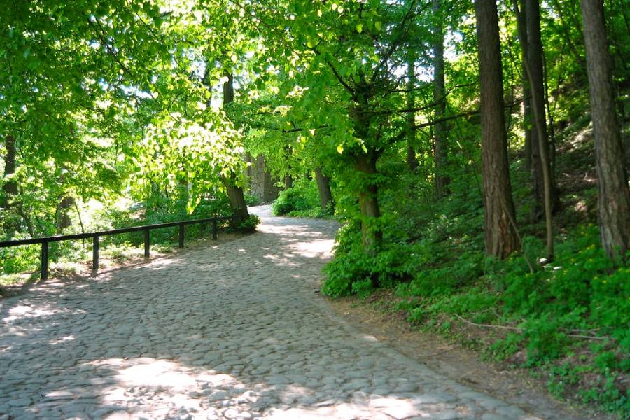 Hrad Buchlov. Foto: Flickr.com / Marc Staub / CC BY-SA 2.0