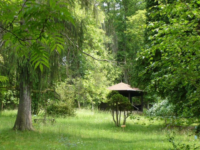 Relaxujte v altánku v Americké zahradě. Zdroj foto: Občanské sdružení Otisk