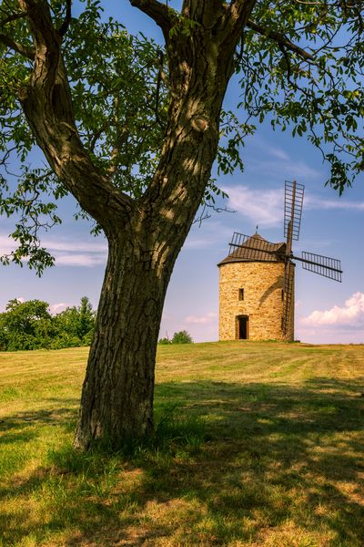 Dnes je větrný mlýn v Jalubí jen replikou původního mlýna zvaného Smolkův Větřák. Zdroj: Shutterstock.com/Martin Peterka