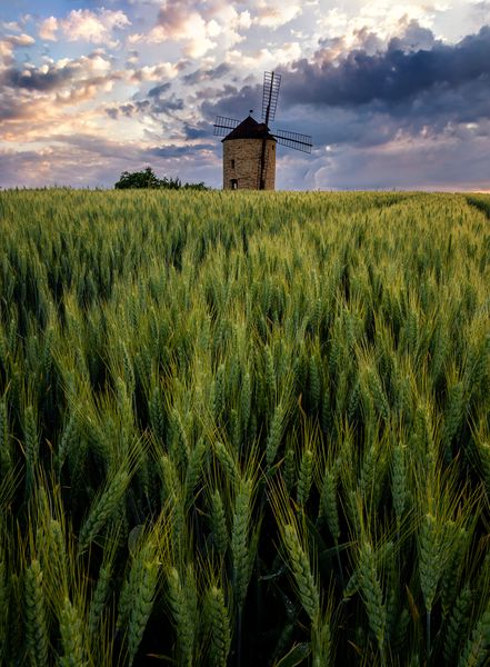 Smolků Větřák se vrátil v čase v podobě repliky větrného mlýna. Zdroj: Shutterstock.com/Martin Peterka