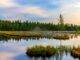 Horské jezero Laka v Národním parku Šumava. Zdroj: Shutterstock.com/Martin Lisner