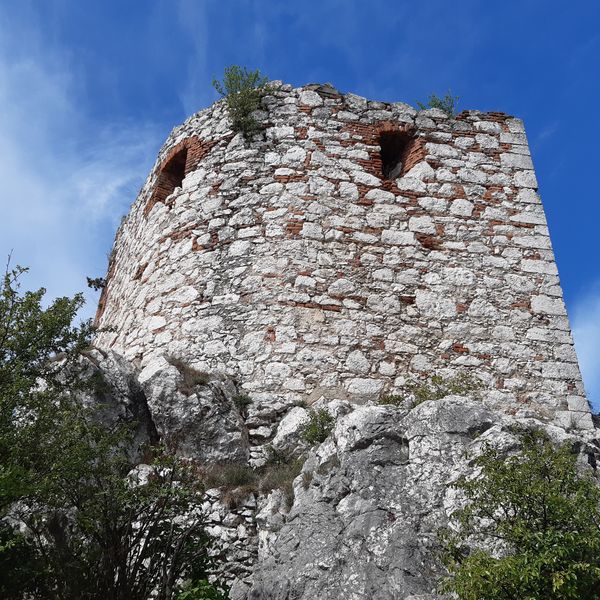 Věž na Kozím vrchu v Mikulově. Foto: Anna Petruželková