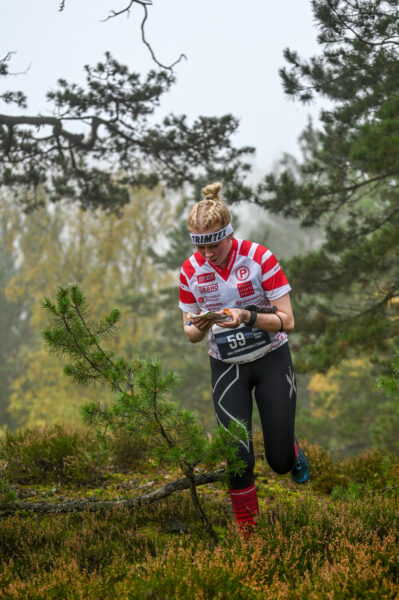 Czech O-Tour Šumava. Zdroj: Czech Tour.
