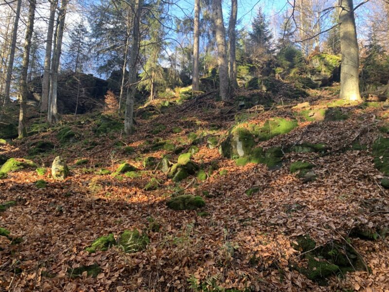Malebná příroda. Zdroj: Czech Tour.