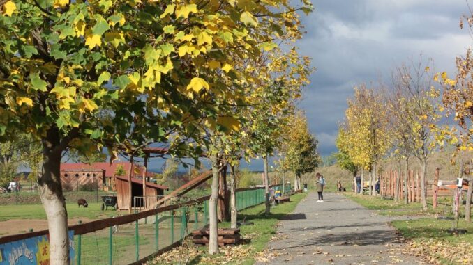 Kolo štěstí v zooparku Zelčín. Zdroj: Zoopark Zelčín.