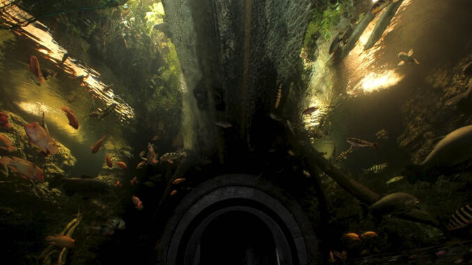 Hradec Králové, prales, exotická zvířata