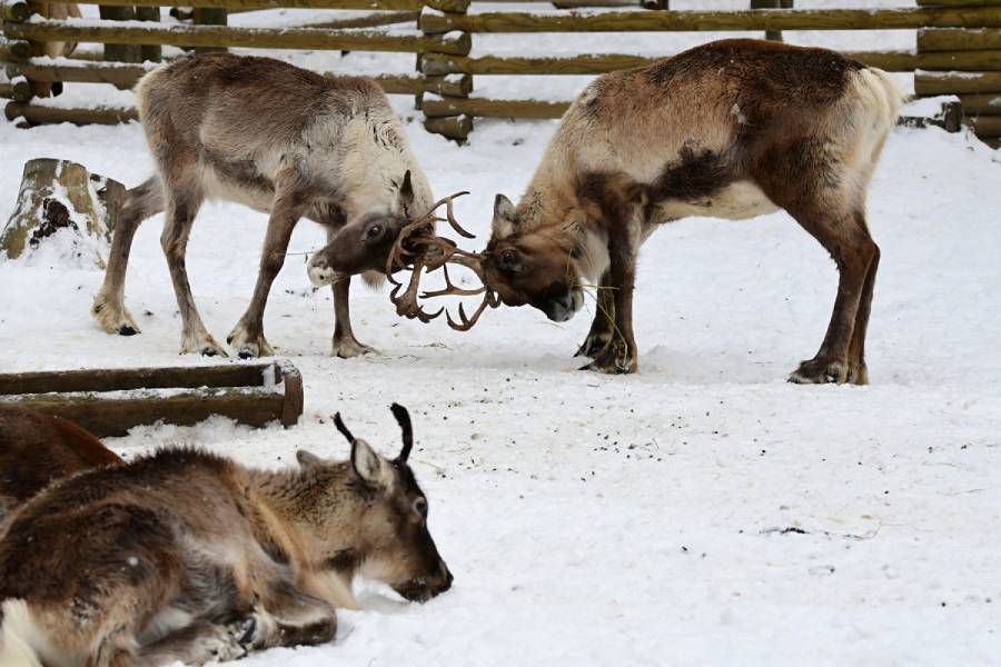 Zooinventura v Olomouci