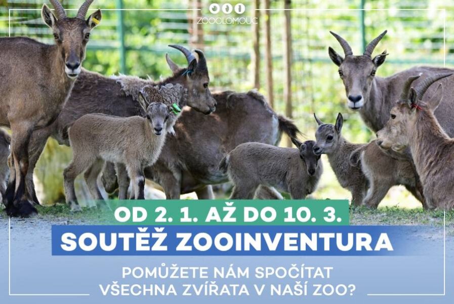 Zooinventura v Olomouci