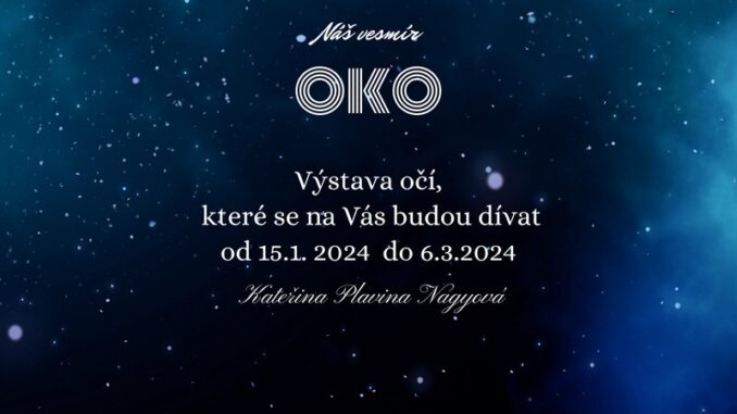 Ilustrační foto. Zdroj: pixabay.com