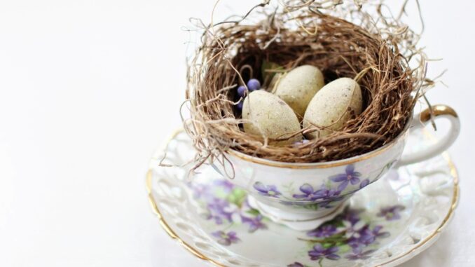 Ilustrační foto. Zdroj: Pixabay.com