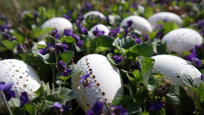 Ilustrační foto. Zdroj: Pixabay.com