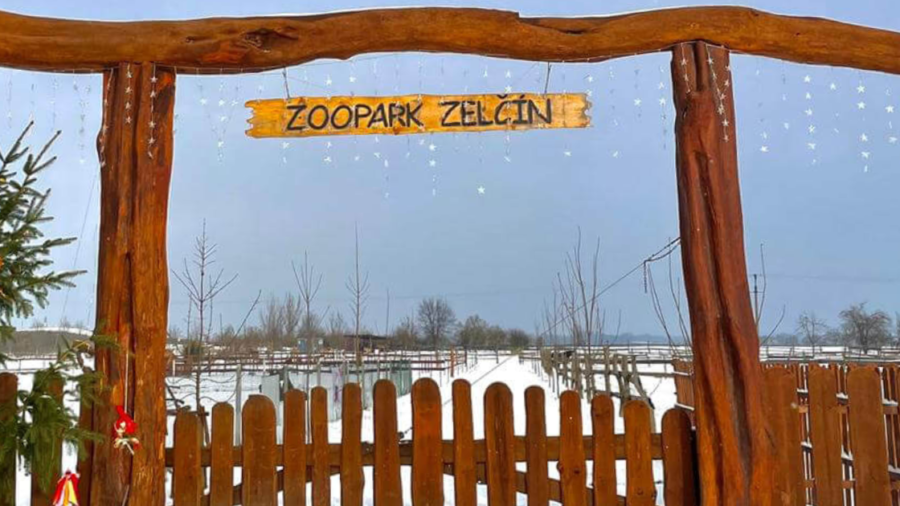 Zoopark Zelčín. Zdroj foto: Zoopark Zelčín. Poskytla: Alexandra Fábryová.