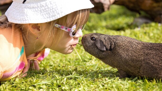 Mimifarma Relax Těrlicko Karviná